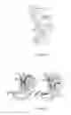 Fig. 05 - Devices and methods for treatment of gastrointestinal disorders