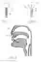 Fig. 02 - Nasal fluid relief plug