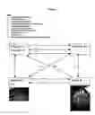 Fig. 03 - Flexible repeatable affiliated consumer business method