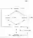 Fig. 01 - Systems and Methods for Predicting a Degree of Relevance Between Digital Ads and Webpage Content