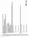 Fig. 10 - Automatic Generation of Web Service client for Web Services Interoperability Testing