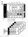 Fig. 10 - Route selection by drag and drop