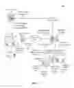 Fig. 02 - Optimizing the handling of source code requests between a software configuration management (SCM) system and a software integrated development environment (IDE) using projected ancillary data