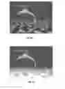 Fig. 06 - Parallel Run-Time Rendering Debugger