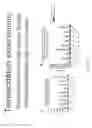 Fig. 22 - Neurotrophic factor MANF and uses thereof