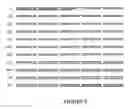 Fig. 06 - Glyphosate tolerant alfalfa events and methods for detection thereof
