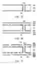 Fig. 08 - Electrical interconnect structure and process thereof and circuit board structure