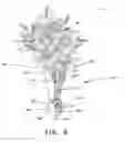 Fig. 06 - FLORAL DISPLAY DEVICE