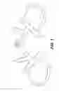Fig. 02 - DEVICE FOR CONTROLLING ANIMALS