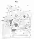 Fig. 06 - Lawn mower with grass collecting unit support