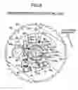 Fig. 07 - Exhaust emission control system for internal combustion engine