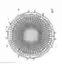 Fig. 09 - Rotary internal combustion engine for combusting low cetane fuels