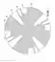 Fig. 19 - Rotary internal combustion engine for combusting low cetane fuels