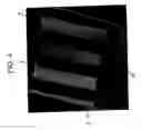 Fig. 05 - BIO SURFACE ACOUSTIC WAVE (SAW) RESONATOR AMPLIFICATION FOR DETECTION OF A TARGET ANALYTE