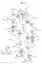 Fig. 03 - Humanoid robot and shoulder joint assembly thereof