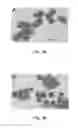 Fig. 03 - Methods of nanostructure formation and shape selection