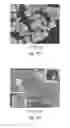 Fig. 10 - Methods of nanostructure formation and shape selection