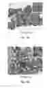 Fig. 19 - Methods of nanostructure formation and shape selection