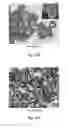Fig. 20 - Methods of nanostructure formation and shape selection