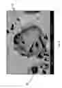 Fig. 05 - Toughened and corrosion- and wear-resistant composite structures and fabrication methods thereof