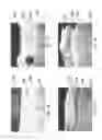 Fig. 10 - Toughened and corrosion- and wear-resistant composite structures and fabrication methods thereof