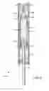 Fig. 04 - Pneumatic actuator