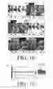Fig. 09 - Microfluidic Separators for Multiphase Fluid-Flow Based On Membranes