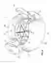 Fig. 06 - APPARATUS FOR CUTTING FOOD ITEMS