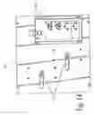 Fig. 14 - Hoof Bath System