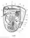 Fig. 32 - Fluid-product dispensing device