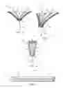 Fig. 04 - Vaginal pessary