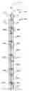 Fig. 01 - Seismic wave generation systems and methods for cased wells