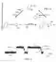 Fig. 04 - Stochastic sensing through covalent interactions