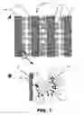 Fig. 02 - Sensor electrode and method for the electrochemical detection of nucleotides