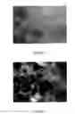 Fig. 08 - Carbon nanotube mediated membrane extraction