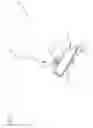 Fig. 03 - Collapsible hook hanger