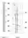 Fig. 29 - Profiling of tubes