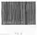 Fig. 03 - Thin film transistor having a plurality of carbon nanotubes