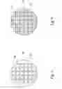 Fig. 06 - Package structure and method