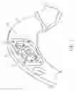 Fig. 08 - Infant bouncer