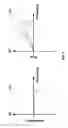 Fig. 04 - SIGNAL ADJUSTMENT RECEIVER CIRCUITRY
