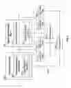 Fig. 07 - SIGNAL ADJUSTMENT RECEIVER CIRCUITRY
