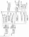 Fig. 06 - Method and software for spatial pattern analysis