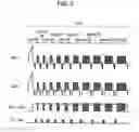 Fig. 04 - PLASMA DISPLAY DEVICE AND PLASMA-DISPLAY-PANEL DRIVING METHOD