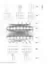 Fig. 07 - Method of animating a graphics character using fuzzy processing layers