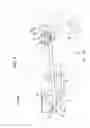 Fig. 04 - Recording apparatus