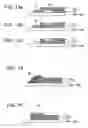 Fig. 11 - Inkjet head