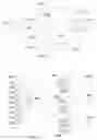 Fig. 19 - Systems and methods for concurrently playing multiple images from a storage medium