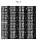 Fig. 10 - Liquid crystal display