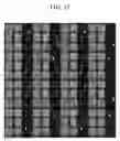 Fig. 13 - Liquid crystal display